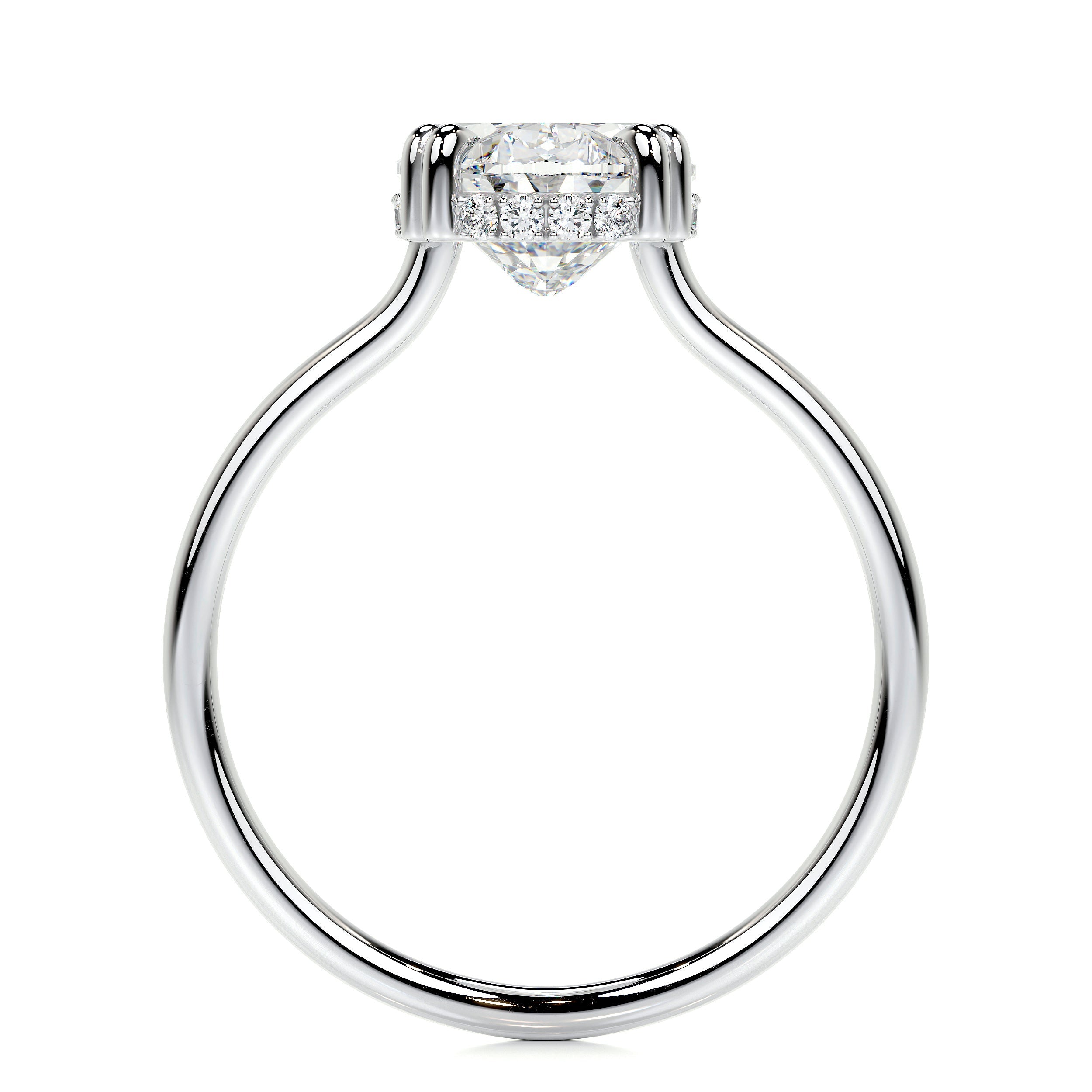 Harriet Lab Grown Diamond Ring   (3.1 Carat) -14K White Gold