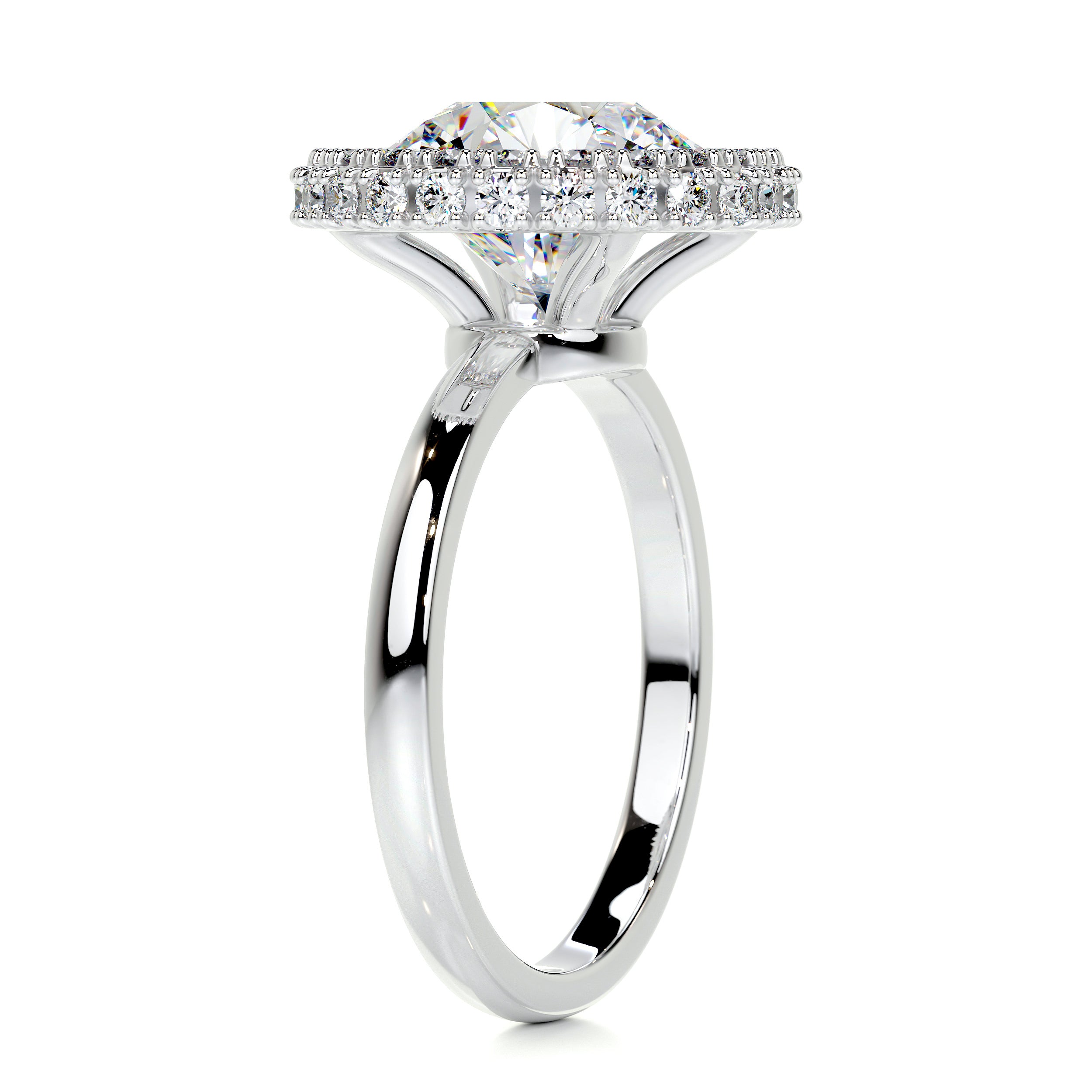 Rosalie Moissanite & Diamond Ring -14K White Gold