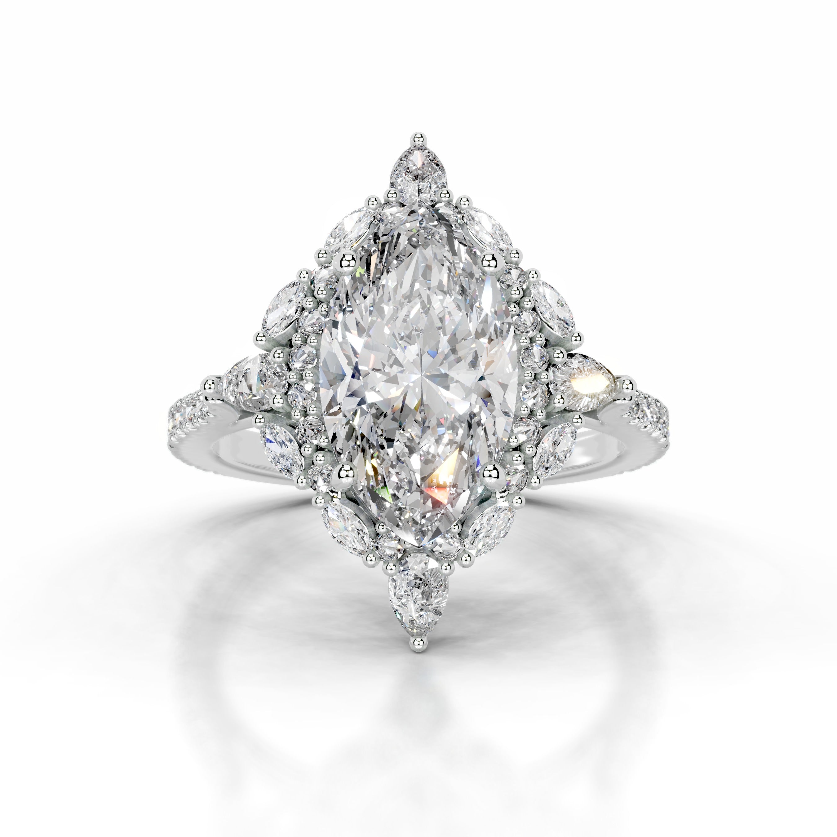 Fernanda Diamond Engagement Ring - Platinum