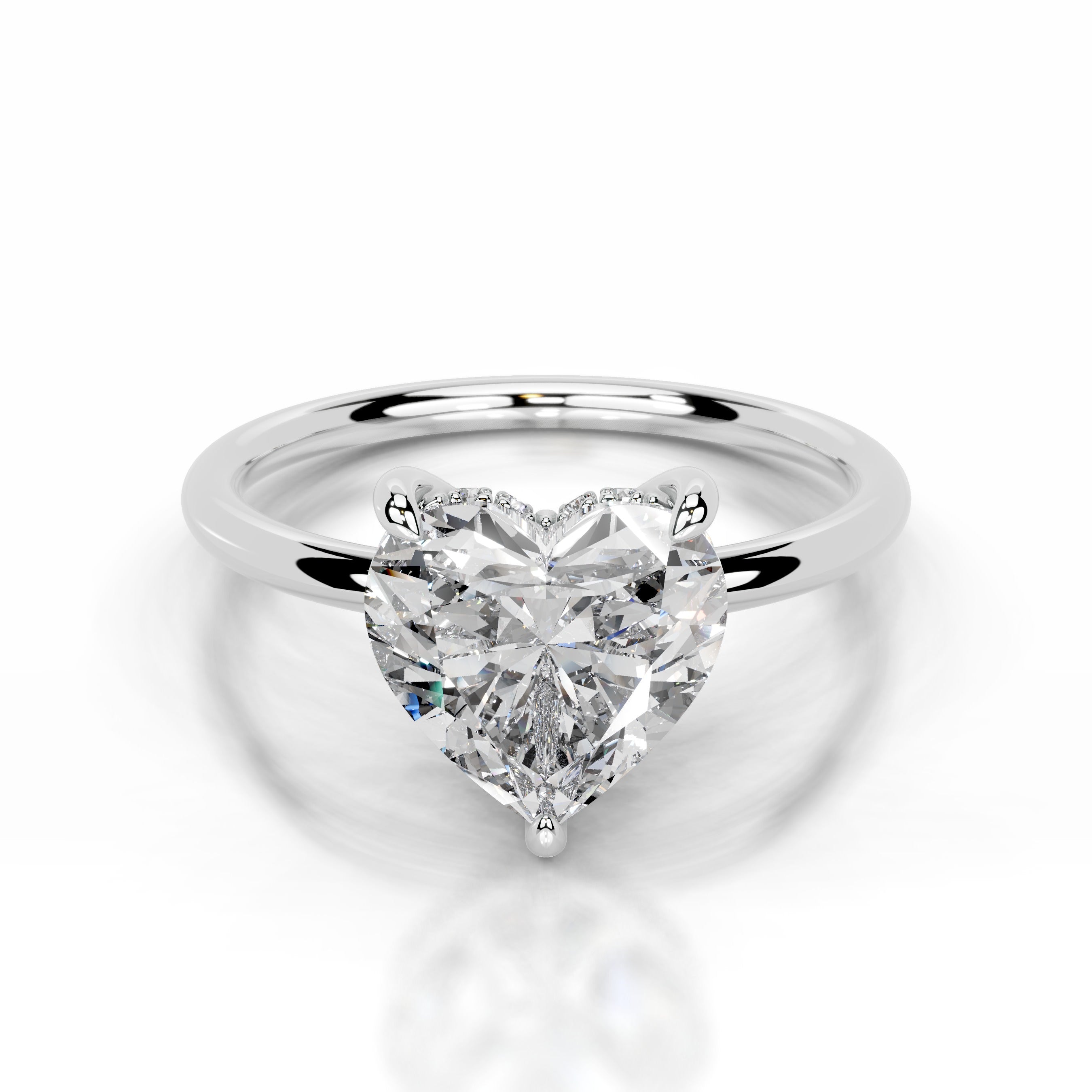 Willow Lab Grown Diamond Ring - Platinum