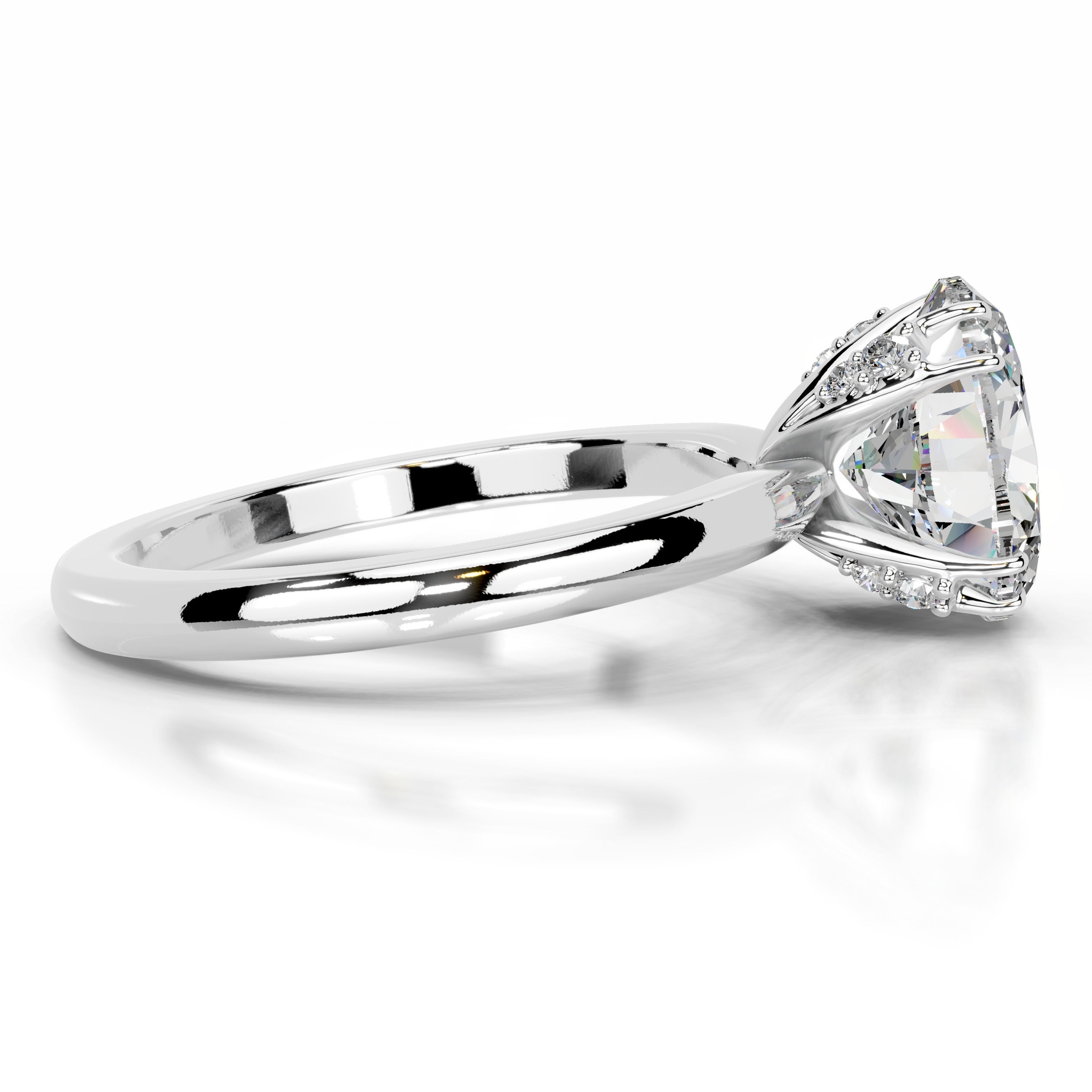 Ballina Moissanite & Diamonds Ring - Platinum