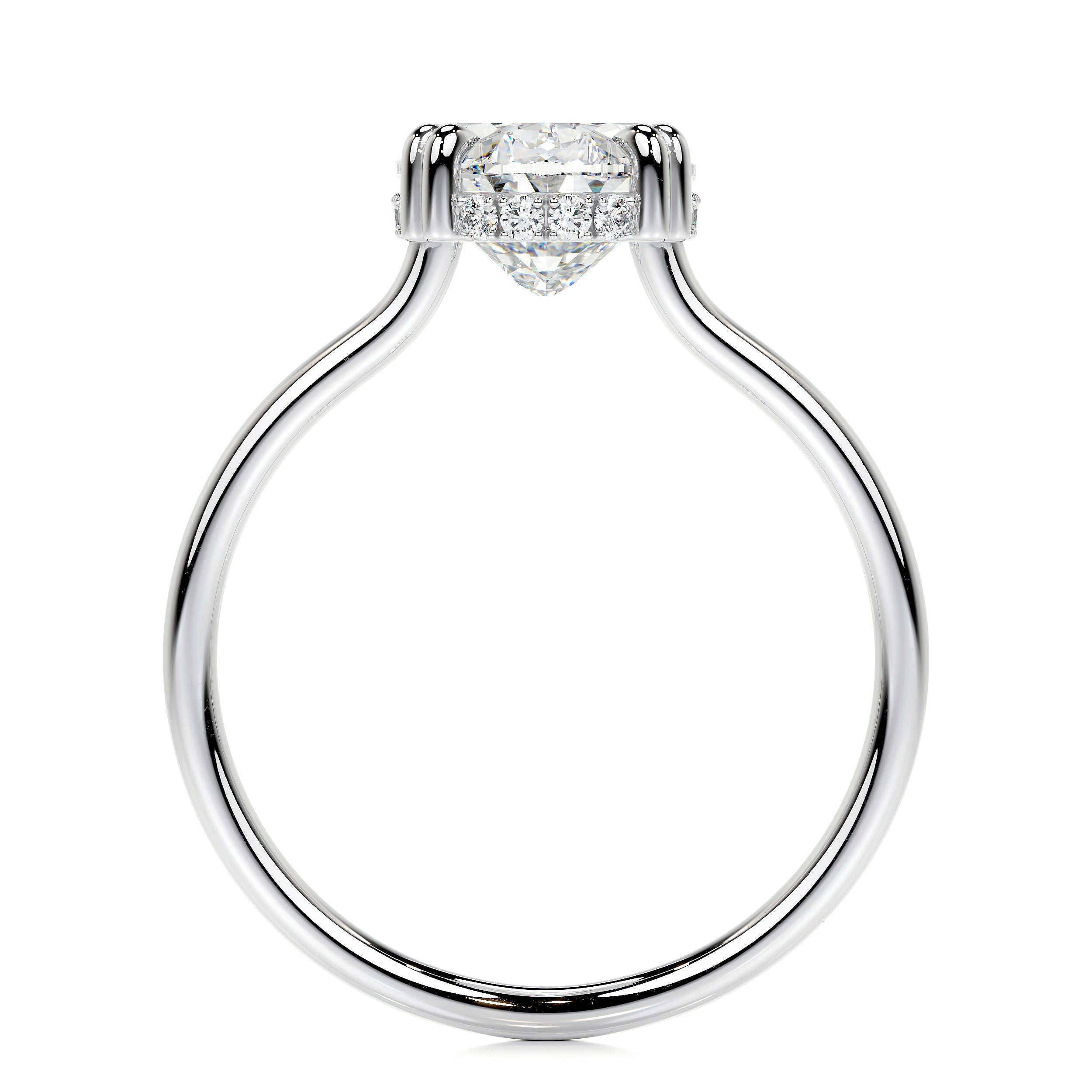 Harriet Lab Grown Diamond Ring   (3.1 Carat) -14K White Gold